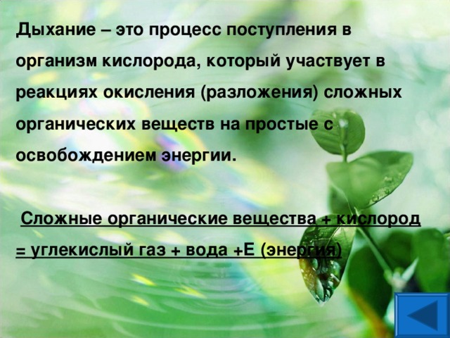 Дыхание – это процесс поступления в организм кислорода, который участвует в реакциях окисления (разложения) сложных органических веществ на простые с освобождением энергии.   Сложные органические вещества + кислород = углекислый газ + вода +Е (энергия)