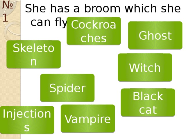 № 1 She has a broom which she can fly . Cockroaches Ghost Skeleton Witch Spider Black cat Vampire Injections
