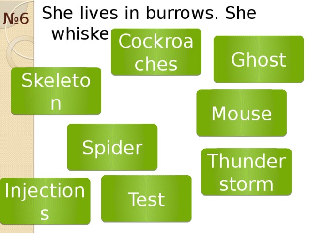 № 6 She lives in burrows. She whiskers. Cockroaches Ghost Skeleton Mouse Spider Thunderstorm Test Injections