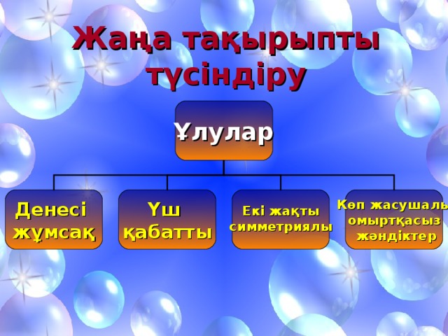 Жаңа тақырыпты түсіндіру Ұлулар Денесі жұмсақ Үш қабатты   Көп жасушалы омыртқасыз  жәндіктер   Екі жақты симметриялы