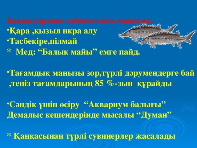 Балықтардың табиғаттағы маңызы: Қара ,қызыл икра алу Тасбекіре,пілмай * Мед: “Балық майы” емге пайд.  Тағамдық маңызы зор,түрлі дәрумендерге бай ,теңіз тағамдарының 85 %-зын құрайды  Сәндік үшін өсіру “Аквариум балығы” Демалыс кешендерінде мысалы “Думан”  * Қаңқасынан түрлі сувинерлер жасалады