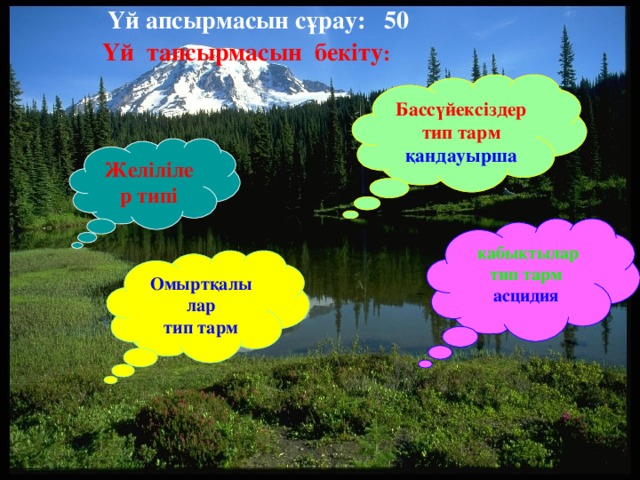 Үй апсырмасын сұрау: 50 Үй тапсырмасын бекіту : Бассүйексіздер тип тарм қандауырша Желілілер типі  қабықтылар тип тарм асцидия  Омыртқалы лар тип тарм