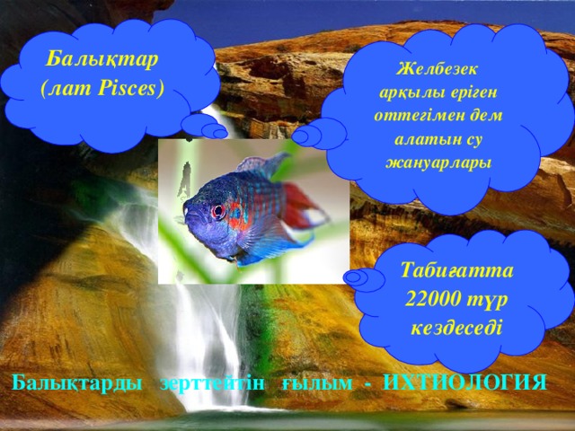 Балықтар (лат Pisces) Желбезек арқылы еріген оттегімен дем алатын су жануарлары Табиғатта 22000 түр кездеседі  Балықтарды зерттейтін ғылым - ИХТИОЛОГИЯ