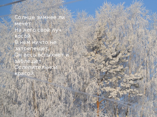 И стоит он, околдован, Не мертвец и не живой - Сном волшебным очарован, Весь опутан, весь окован Лёгкой цепью пуховой... Солнце зимнее ли мечет На него свой луч косой - В нём ничто не затрепещет, Он весь вспыхнет и заблещет Ослепительной красой. Чародейкою Зимою Околдован, лес стоит, И под снежной бахромою, Неподвижною, немою, Чудной жизнью он блестит.