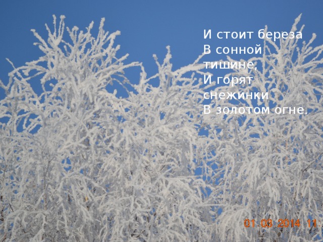 И стоит береза В сонной тишине, И горят снежинки В золотом огне. Белая береза Под моим окном Принакрылась снегом, Точно серебром . На пушистых ветках Снежною каймой Распустились кисти Белой бахромой.