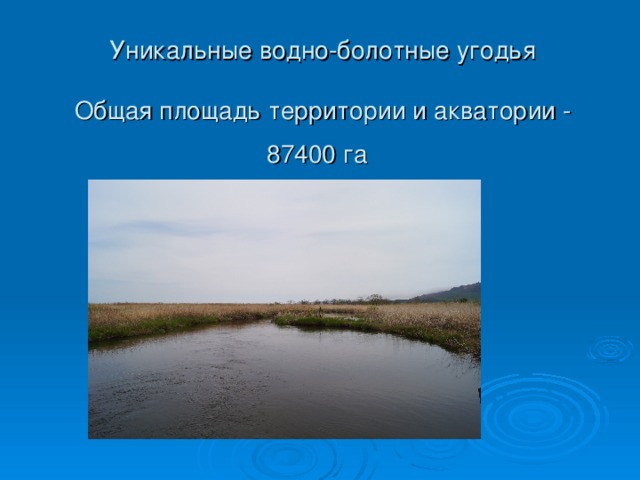 Уникальные водно-болотные угодья   Общая площадь территории и акватории - 87400 га