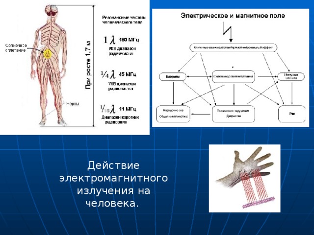 Действие электромагнитного излучения на человека.