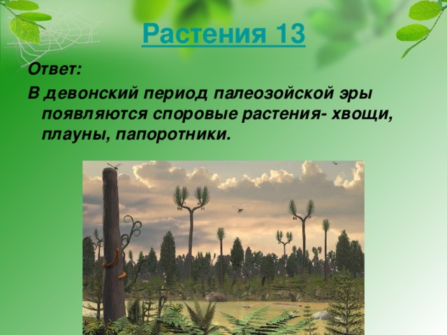 Растения 13 Ответ: В девонский период палеозойской эры появляются споровые растения- хвощи, плауны, папоротники.