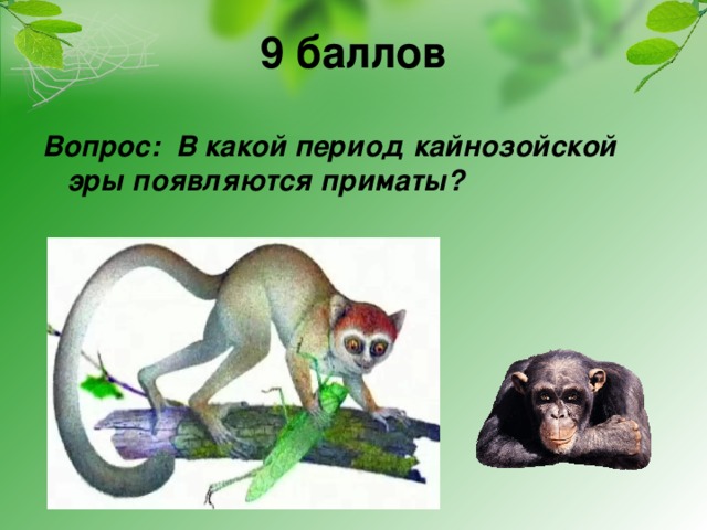9 баллов Вопрос: В какой период кайнозойской эры появляются приматы?