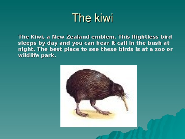 The kiwi  The Kiwi, a New Zealand emblem. This flightless bird sleeps by day and you can hear it call in the bush at night. The best place to see these birds is at a zoo or wildlife park.