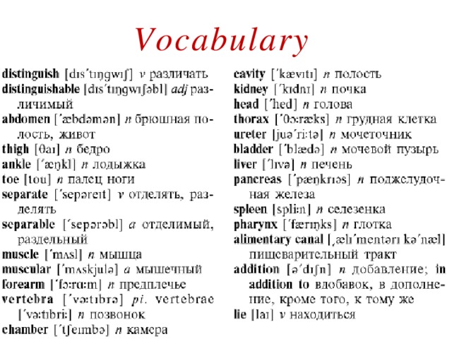 Vocabulary