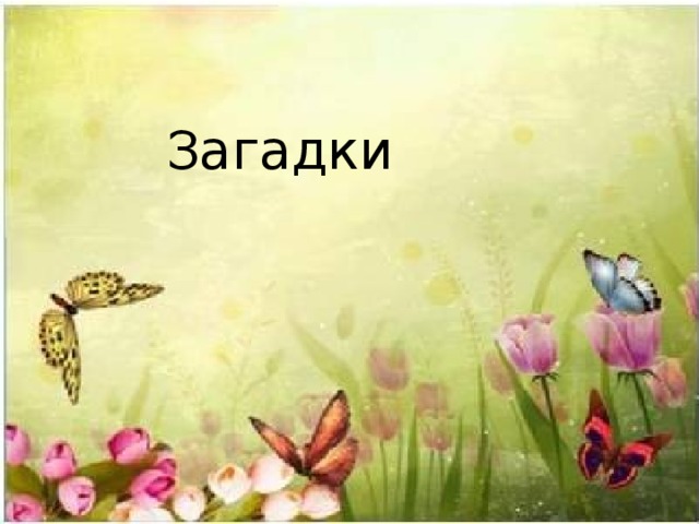 Загадки