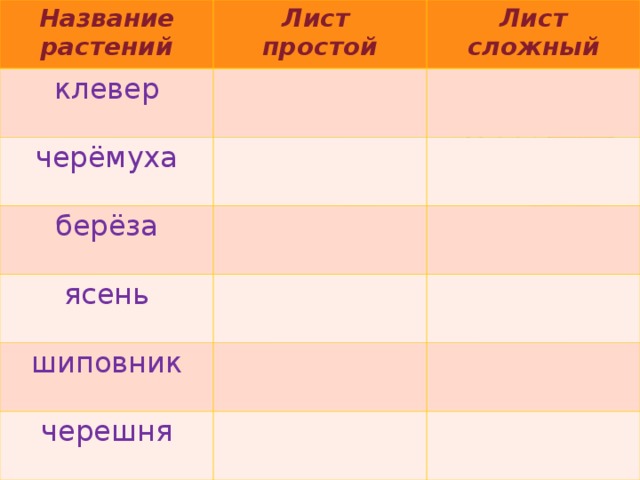 Название растений Лист простой клевер Лист сложный черёмуха берёза ясень шиповник черешня