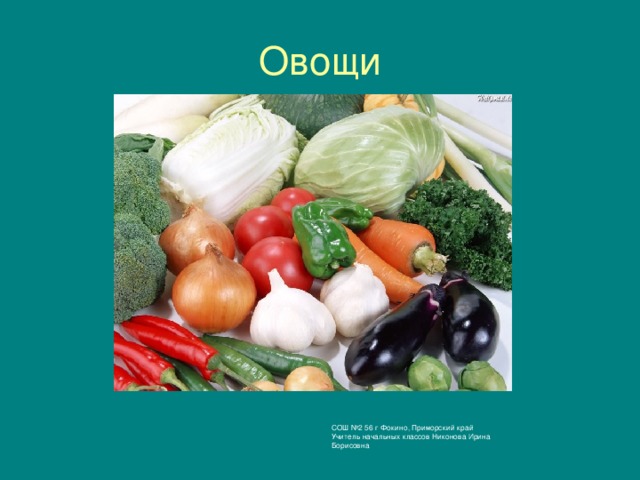 СОШ №2 56 г Фокино, Приморский край Учитель начальных классов Никонова Ирина Борисовна