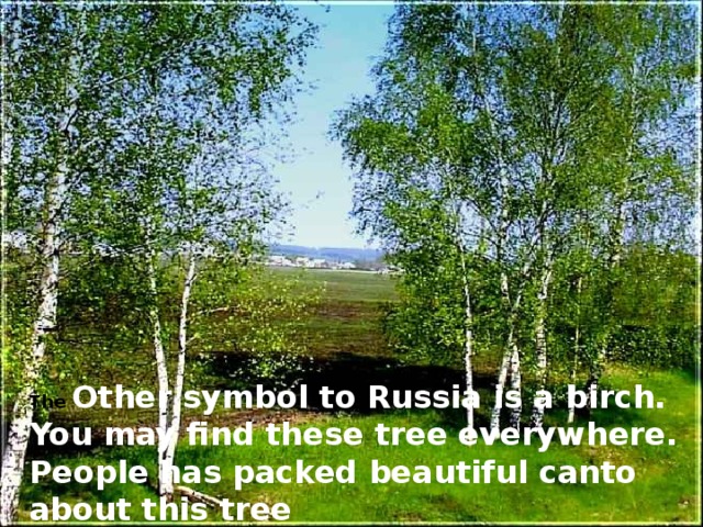 The Other symbol to Russia is a birch. You may find these tree everywhere. People has packed beautiful canto about this tree