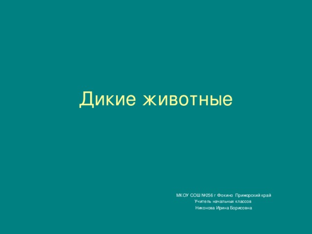 Дикие животные МКОУ СОШ №256 г Фокино Приморский край Учитель начальных классов Никонова Ирина Борисовна