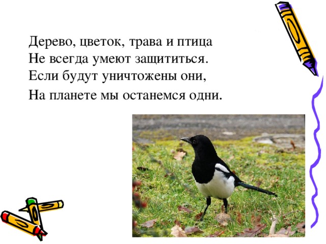 Дерево, цветок, трава и птица  Не всегда умеют защититься.  Если будут уничтожены они,  На планете мы останемся одни .