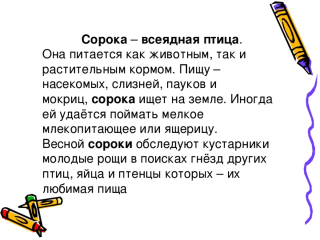 Сорока  –  всеядная птица . Она питается как животным, так и растительным кормом. Пищу – насекомых, слизней, пауков и мокриц,  сорока  ищет на земле. Иногда ей удаётся поймать мелкое млекопитающее или ящерицу. Весной  сороки  обследуют кустарники молодые рощи в поисках гнёзд других птиц, яйца и птенцы которых – их любимая пища