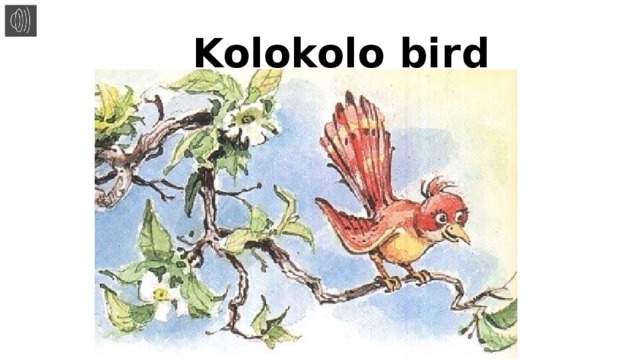 Kolokolo bird