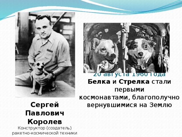 20 августа 1960 года  Белка и Стрелка стали первыми  космонавтами, благополучно  вернувшимися на Землю Сергей Павлович Королев Конструктор (создатель) ракетно-космической техники