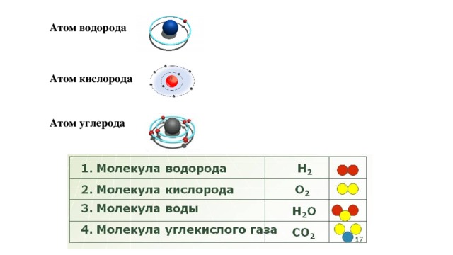 Атом водорода Атом кислорода Атом углерода