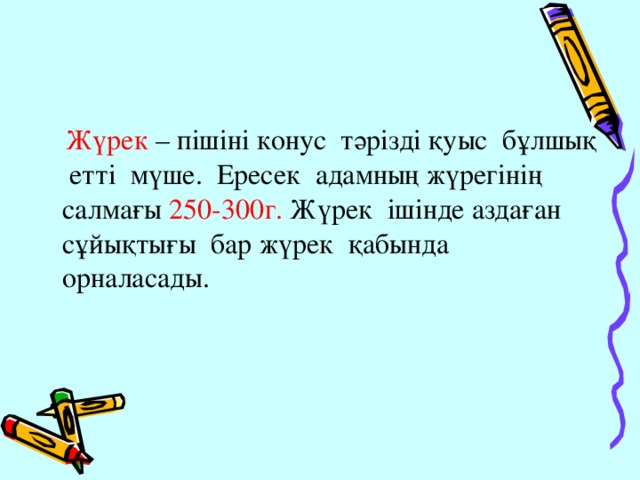 Жүрек – пішіні конус тәрізді қуыс бұлшық етті мүше. Ересек адамның жүрегінің салмағы 250-300г. Жүрек ішінде аздаған сұйықтығы бар жүрек қабында орналасады.