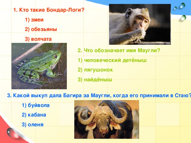 1. Кто такие Бондар-Логи?  1) змеи  2) обезьяны  3) волчата 2. Что обозначает имя Маугли? 1) человеческий детёныш 2) лягушонок 3) найдёныш 1. Кто такие Бандар-Логи? 1) змеи; 2) обезьяны; 3) волчата. 2. Что обозначает имя Маугли? 1) человеческий детеныш; 2 ) лягушонок; 3) найденыш. 3. Какой выкуп дала Багира за Маугли, когда его принимали в Стаю? 1) буйвола; 2) кабана; 3) оленя. 3. Какой выкуп дала Багира за Маугли, когда его принимали в Стаю?  1) буйвола  2) кабана  3) оленя