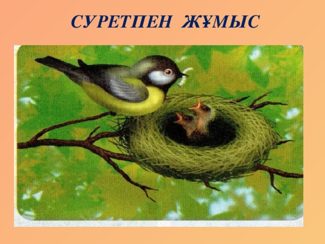 СУРЕТПЕН ЖҰМЫС