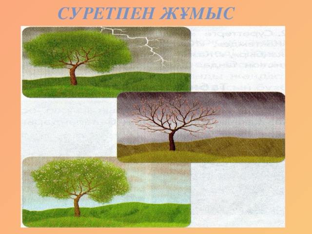 Суретпен жұмыс