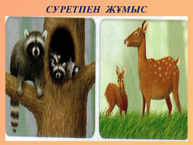 СУРЕТПЕН ЖҰМЫС