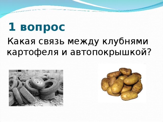 1 вопрос  Какая связь между клубнями картофеля и автопокрышкой?