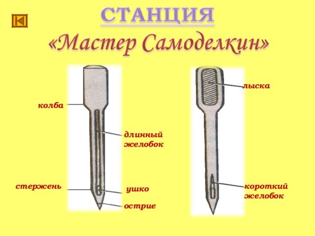 лыска колба длинный желобок стержень короткий желобок ушко острие