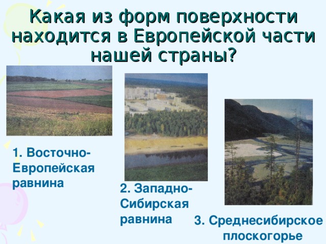 Какая из форм поверхности находится в Европейской части нашей страны? 1. Восточно-Европейская равнина 2. Западно- Сибирская равнина 3. Среднесибирское плоскогорье