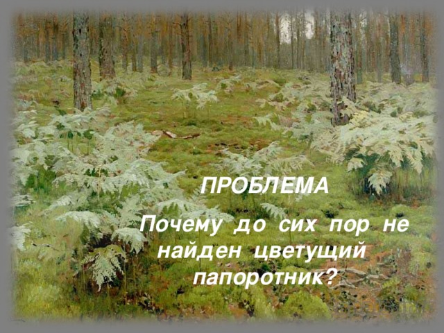 ПРОБЛЕМА  Почему до сих пор не найден цветущий папоротник?