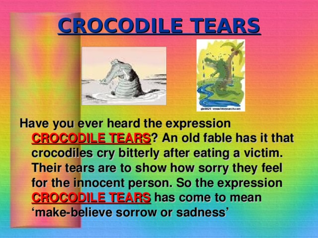 CROCODILE TEARS     Have you ever heard the expression CROCODILE TEARS ? An old fable has it that crocodiles cry bitterly after eating a victim. Their tears are to show how sorry they feel for the innocent person. So the expression CROCODILE TEARS has come to mean ‘make-believe sorrow or sadness’