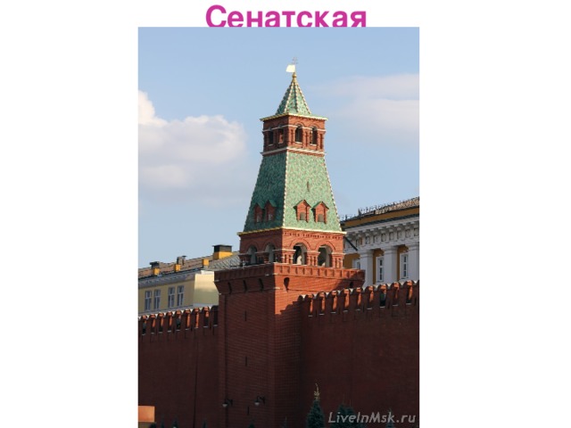 Сенатская