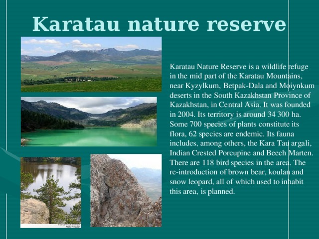 Karatau nature reserve