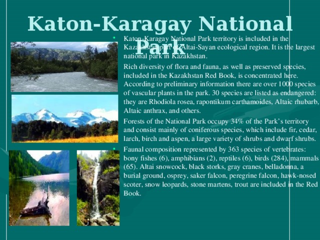 Katon-Karagay National Park