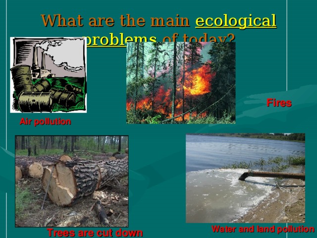 What are the main ecological problems  of today? Fires Air pollution Water and land pollution Trees are cut down