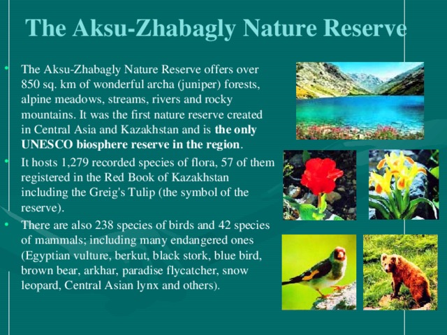 The Aksu-Zhabagly Nature Reserve