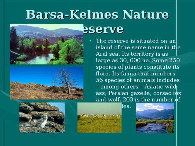 Barsa-Kelmes Nature Reserve