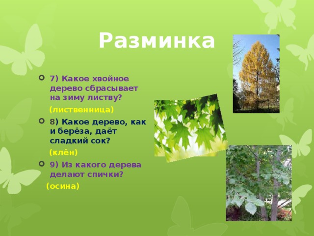 Разминка 7) Какое хвойное дерево сбрасывает на зиму листву?  (лиственница) 8 ) Какое дерево, как и берёза, даёт сладкий сок?  (клён) 9) Из какого дерева делают спички?  (осина)