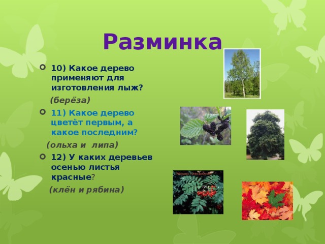 Разминка 10) Какое дерево применяют для изготовления лыж?  (берёза) 11) Какое дерево цветёт первым, а какое последним?  (ольха и липа) 12) У каких деревьев осенью листья красные ?  (клён и рябина)