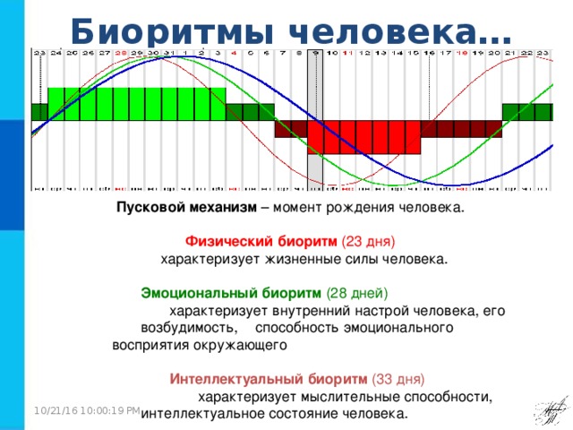 Биоритм кольчугино сайт. Эмоциональный Биоритм человека. Физический Биоритм человека. Интеллектуальный Биоритм человека. Формула для расчета биоритмов человека.