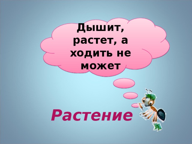 Дышит, растет, а ходить не может      Растение