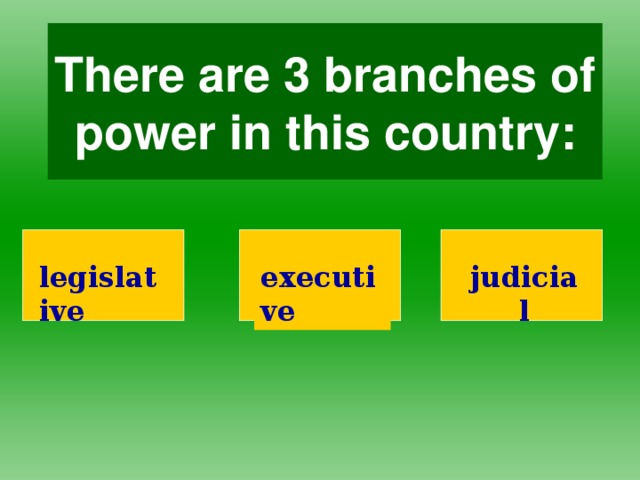 There are 3 branches of power in this country: legislative executive judicial