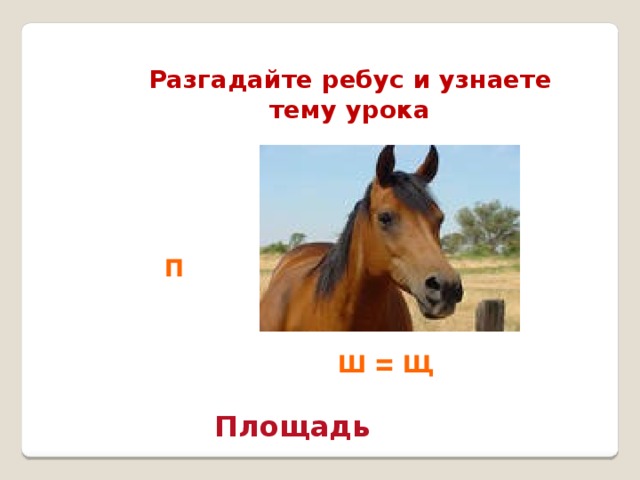 Разгадайте ребус и узнаете тему урока п ш = щ Площадь