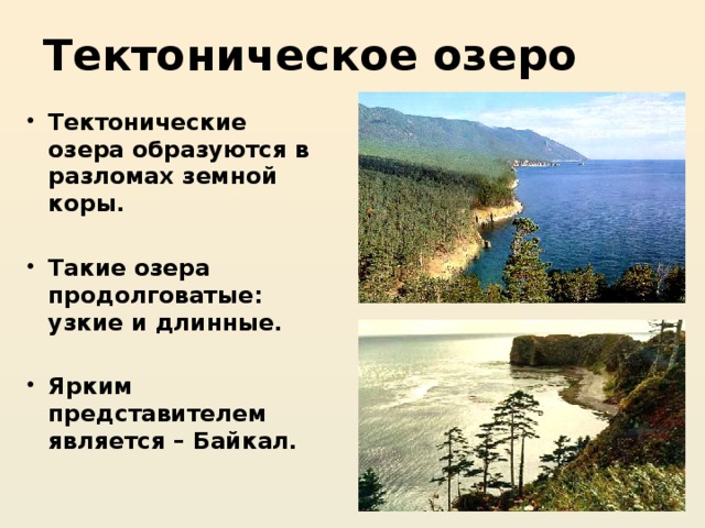 Тектоническое озеро Тектонические озера образуются в разломах земной коры.  Такие озера продолговатые: узкие и длинные.