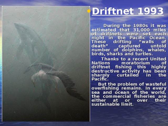 Driftnet 1993