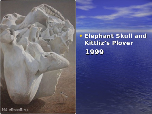 Elephant Skull and Kittliz’s Plover